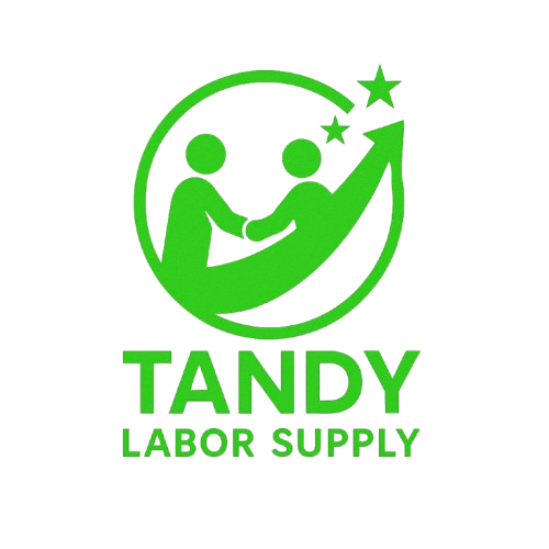 tandyvietnam.com favicon